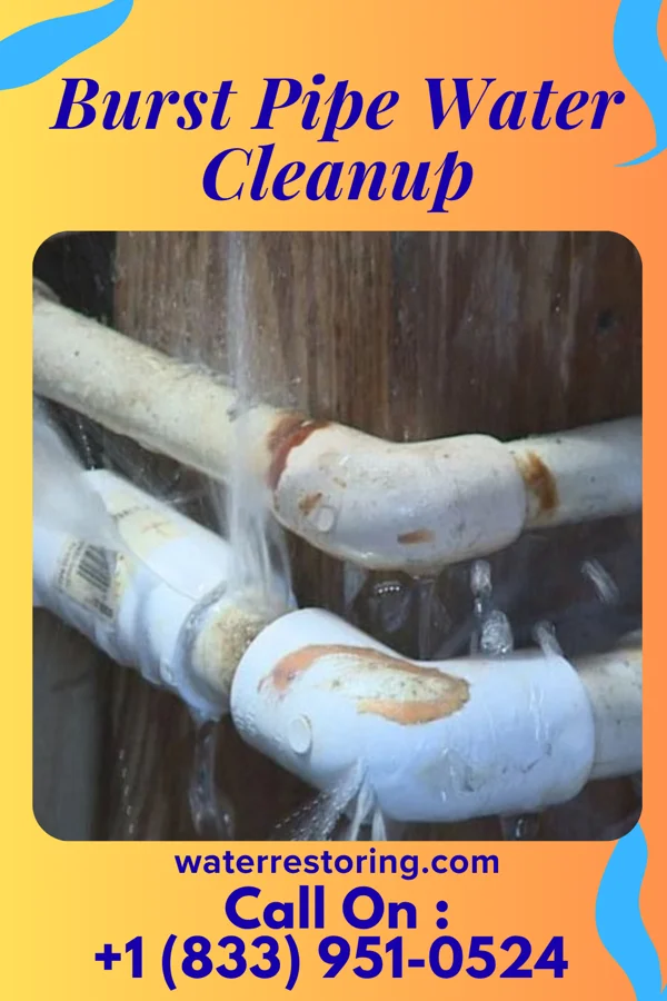 Burst Pipe Water Cleanup in Clifton, KS